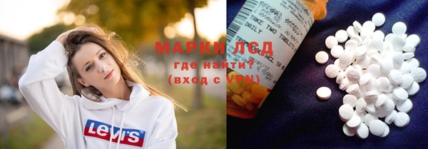 прущие грибы Михайловка