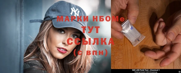 прущие грибы Михайловка