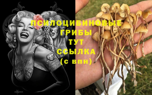 прущие грибы Михайловка