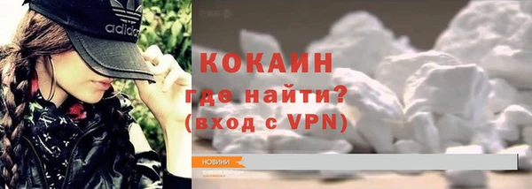 прущие грибы Медвежьегорск