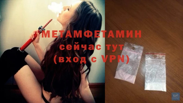прущие грибы Михайловка