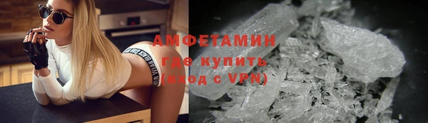 прущие грибы Михайловка
