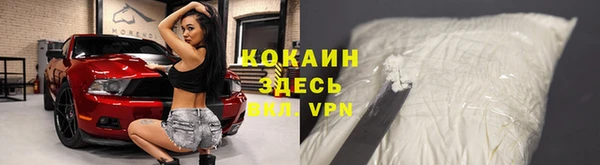 сатива Михайлов