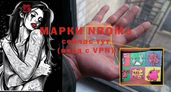 прущие грибы Михайловка