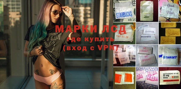 молекула духа Михайловск