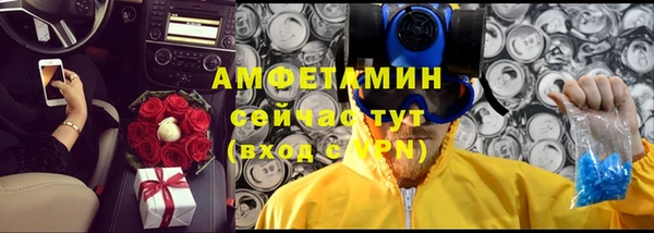 сатива Михайлов