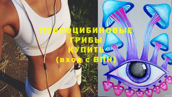 молекула духа Михайловск