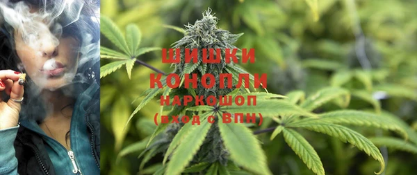 сатива Михайлов