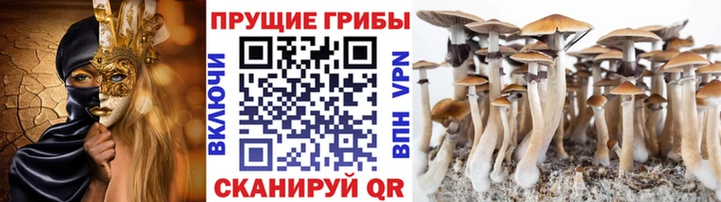 даркнет сайт  Барнаул  Псилоцибиновые грибы Magic Shrooms 